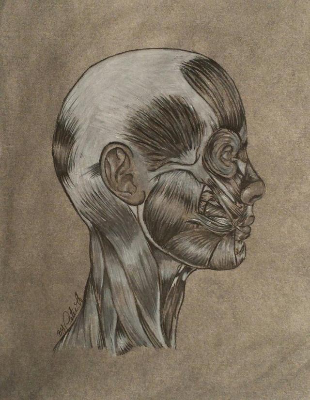 16111755_963120863821883_743004398_n