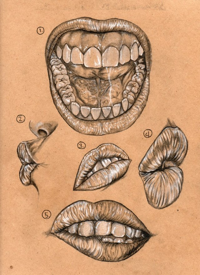 16117360_963121667155136_1203680702_n