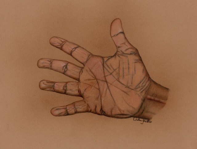 16117857_963121727155130_1613333787_n