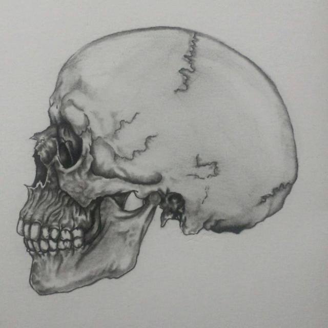 16118412_963119473822022_2100403698_n