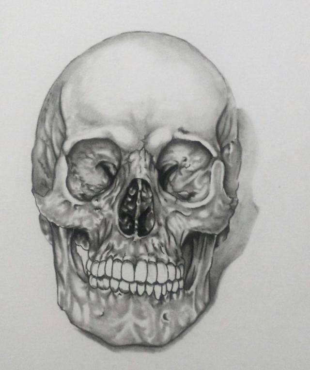 16128412_963119470488689_1633389674_n